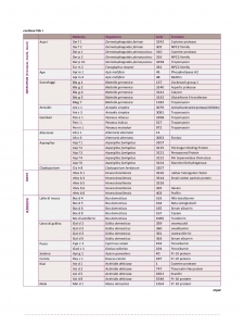 Isac-test-elenco-allergeni-002